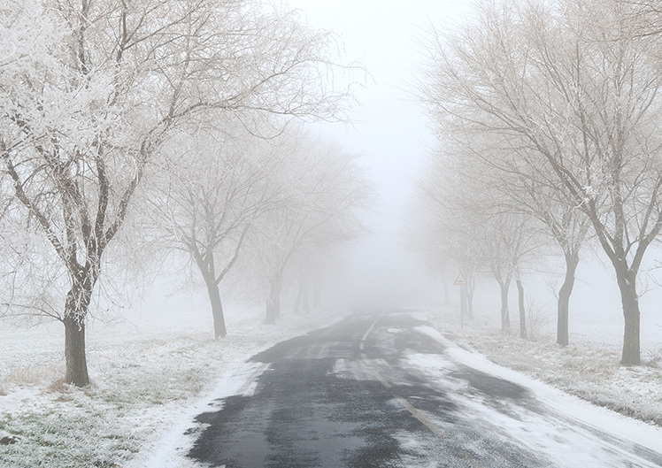 Question de sécurité